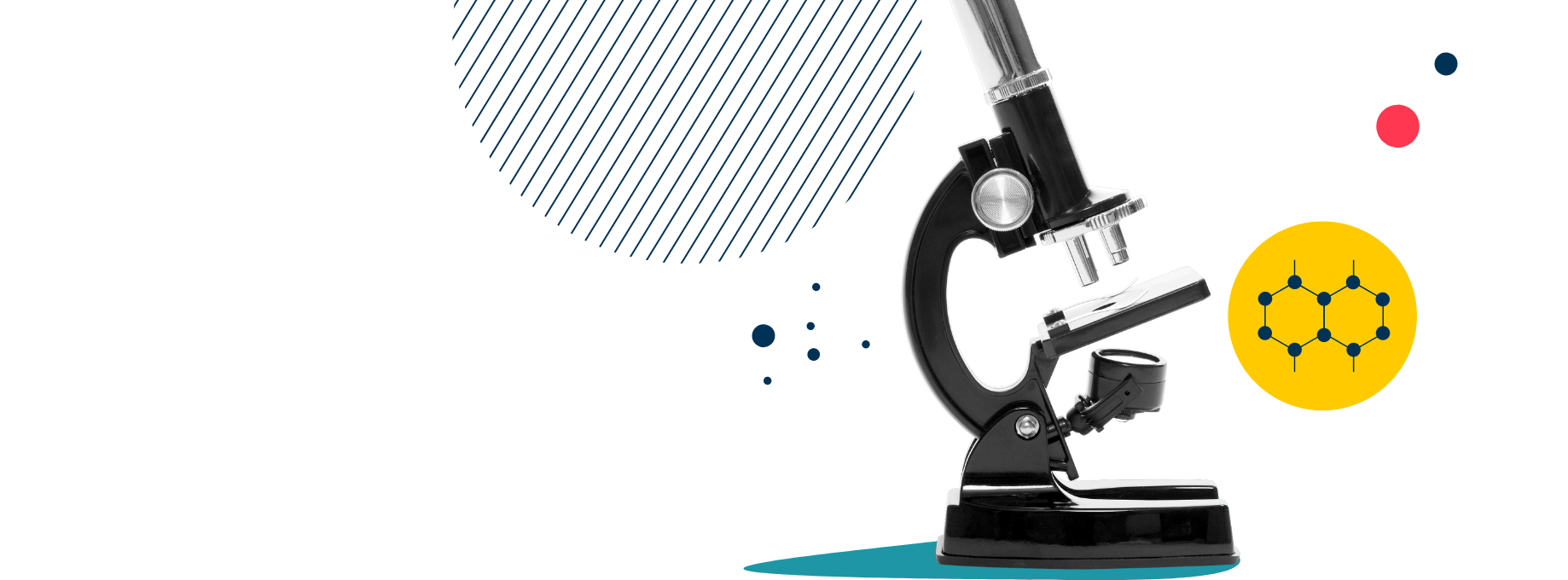 上海诺达双语国际学校丨IB A-Level课程 - 05 new - Feature Cards Pattern